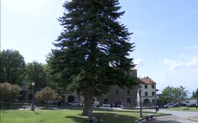 Castel del Piano: nuovi regolamenti per cultura e aree verdi