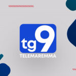 TG9 - Edizione 12.50 08/04/2025