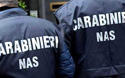 Blatte e un topo nel locale: chiusa pasticceria a Grosseto