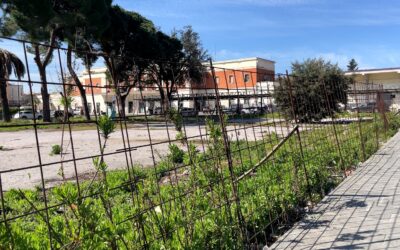 Stazione di Grosseto, un giardino nell’area Adf dopo 12 anni di degrado?