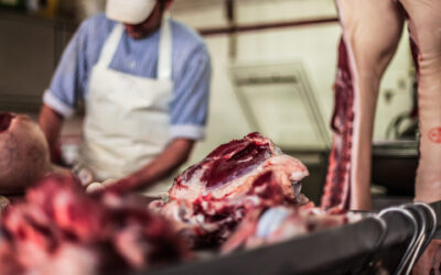 Laboratorio abusivo di macellazione: sequestrati 400 chili di carne e 36 forme di formaggio