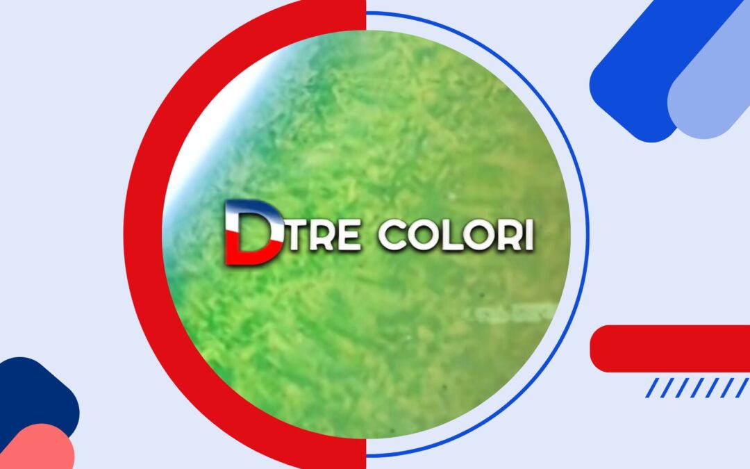 D tre colori 06/05/2025
