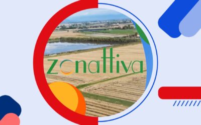 Zonattiva 15/05/2025