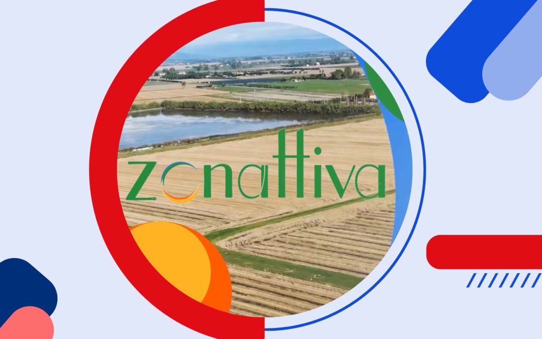 Zonattiva 24/05/2026